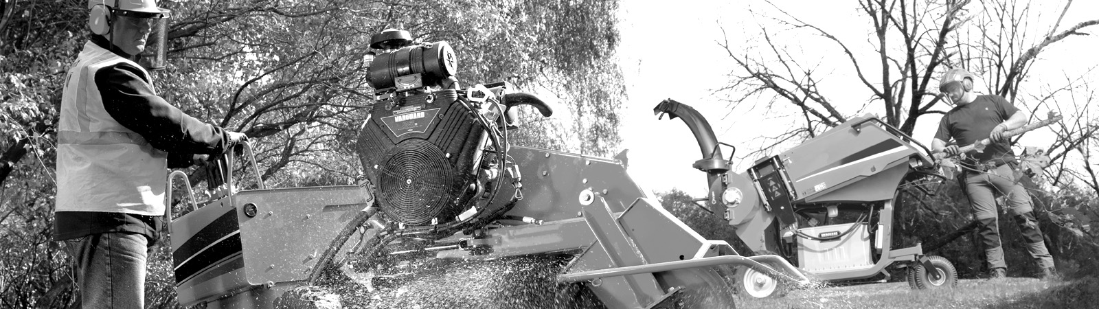 Vanguard Commerical Engines