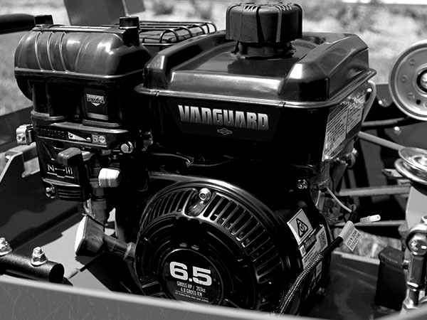 Vanguard Service and Support